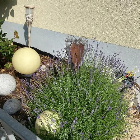 Guest house Gaestehaus Und Ferienwohnung Baechle 4*