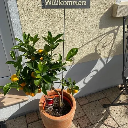 Gaestehaus Und Baechle بيت ضيافة باد بيترستال غريسب