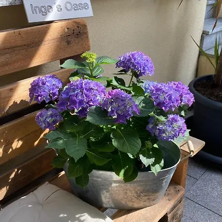 Gaestehaus Und Baechle