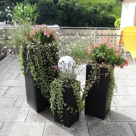 Гостевой дом Gaestehaus Und Ferienwohnung Baechle Бад-Петерсталь-Грисбах