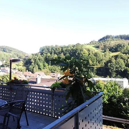 招待所 Gaestehaus Und Baechle 4*